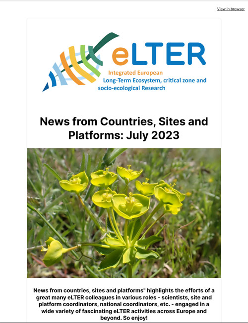 July (2) cover
