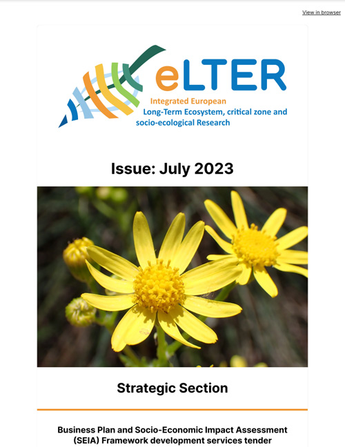 July (1) cover