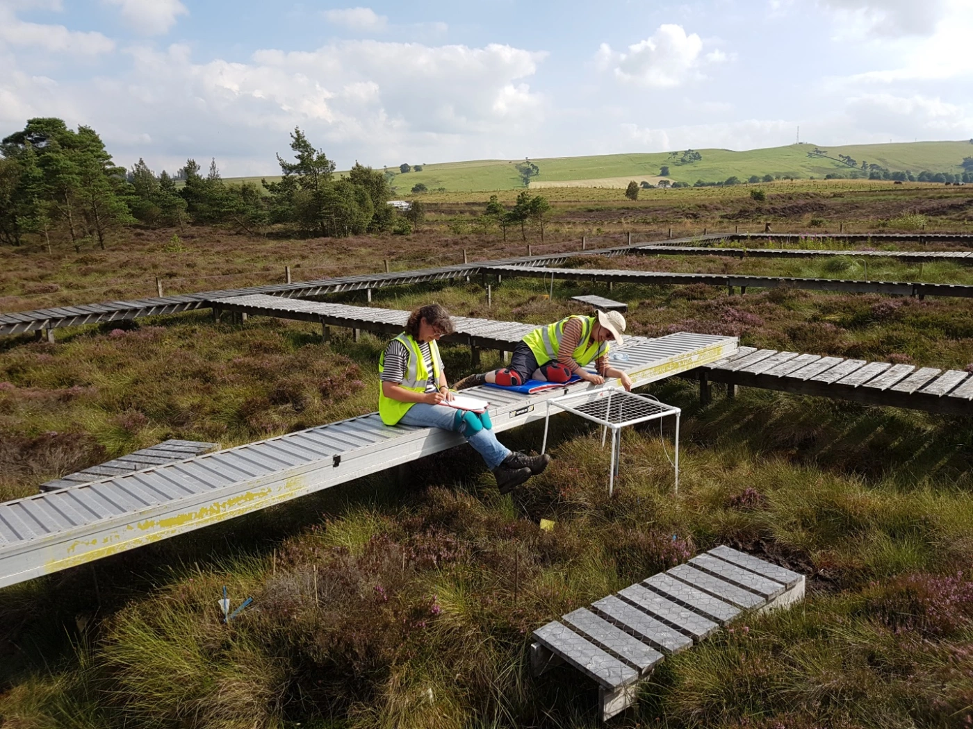 Atmospheric nitrogen deposition may endanger carbon storage in peatlands – how do the fungi respond?