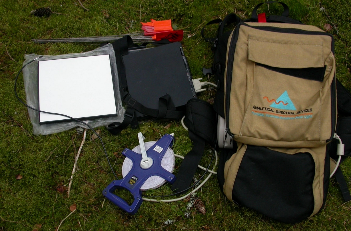 In the realm of blueberries and moss… radiometry measurements at Kindla Integrated Monitoring site, Sweden
