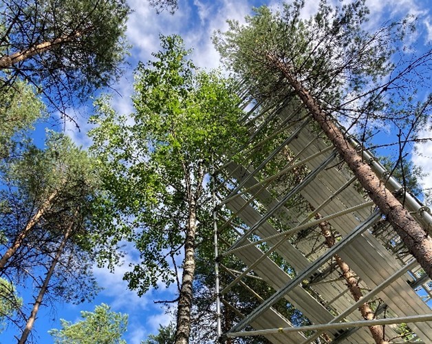 Easy Way to the Top – Accessing Tree Crowns at three eLTER PLUS sites in Scandinavia