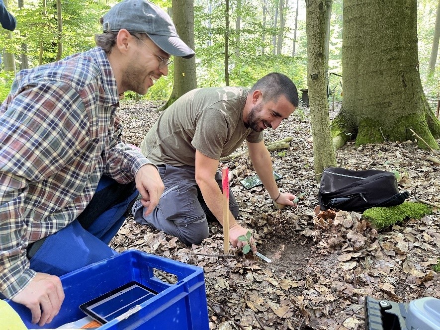 Mapping Soil Organic Carbon and Nitrogen in Forest Soils with Portable NIR Spectroscopy
