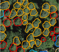 Data call for tree species annotations and aerial RGB or RGBI imagery (TreeAI)